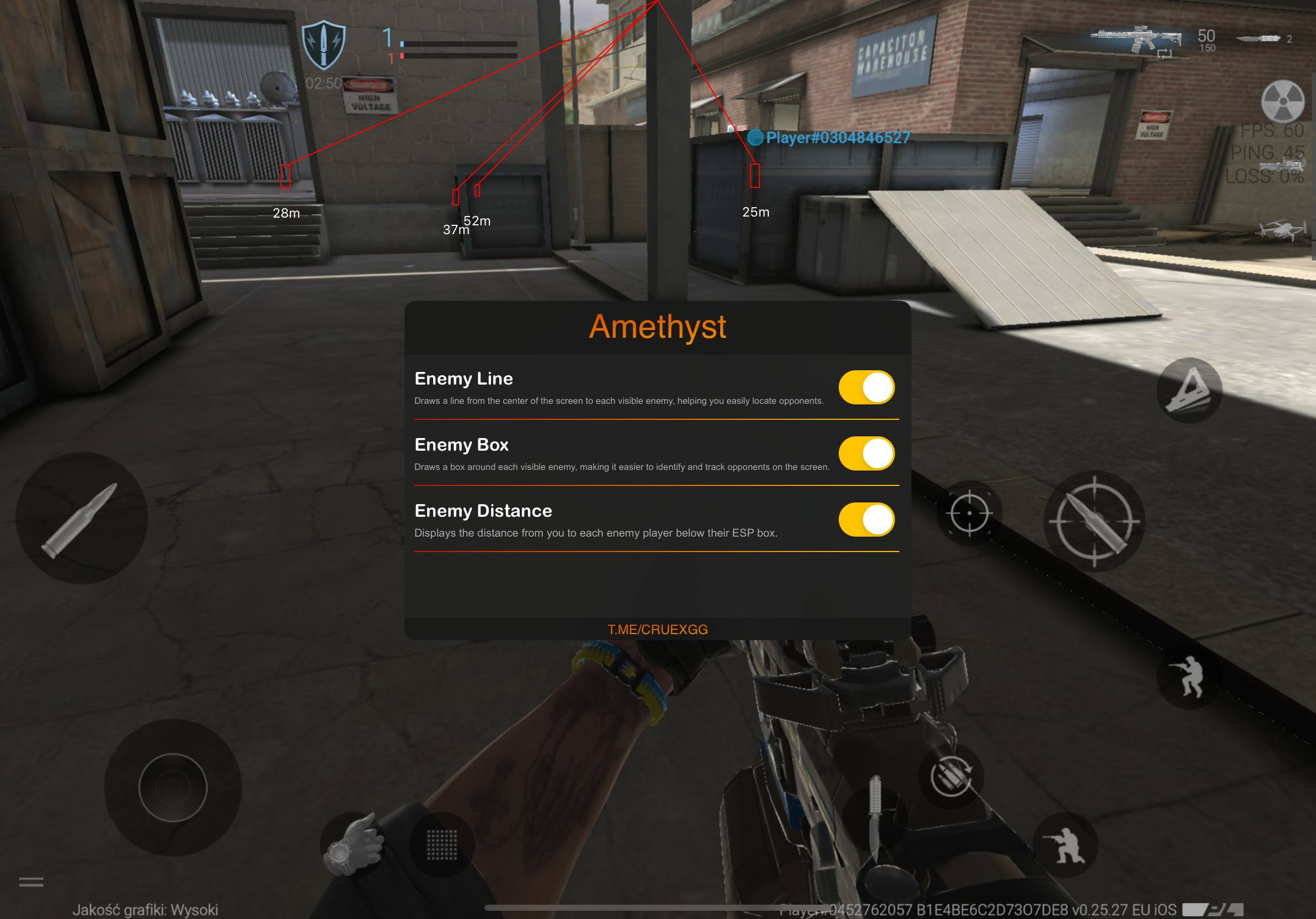 Amethyst ESP Template